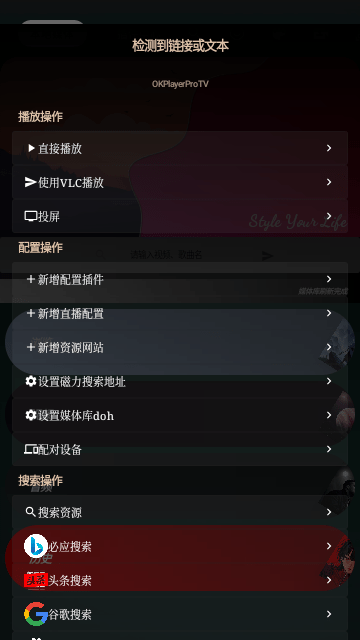 OKPlayerPro