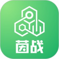 茵战