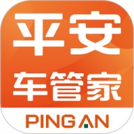 平安车管家